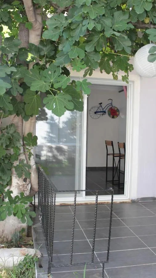 Aloanda House Villa Fethiye Turkey